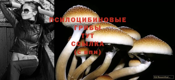 гидропоника Верея