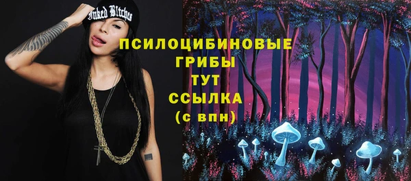 бошки Верхнеуральск