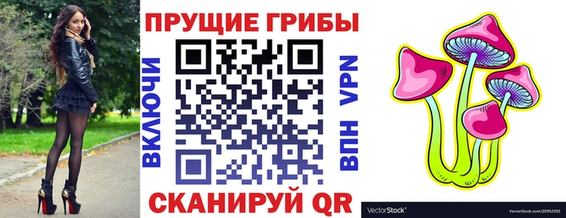 Псилоцибиновые грибы мицелий  магазин продажи наркотиков  Кирсанов 